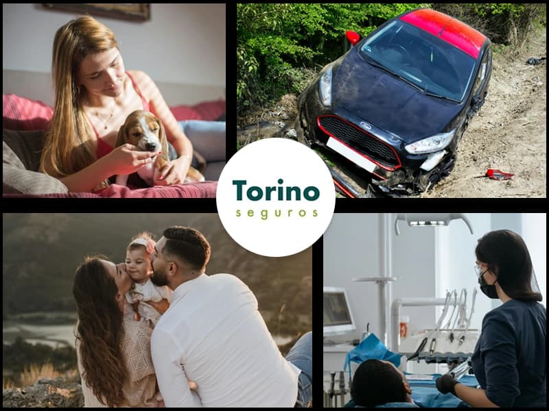 Insurance Illustration